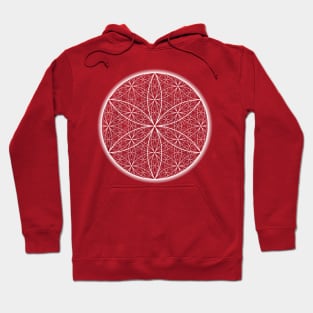 Dimensional Flower of Life - Transparent - On the Back of Hoodie